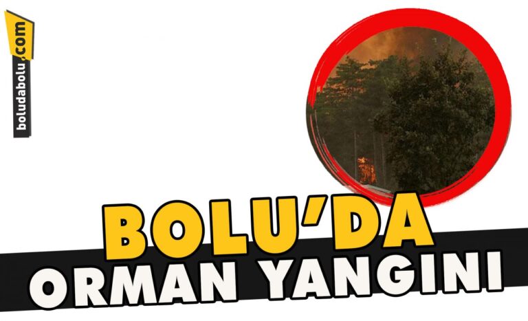 Bolu’da orman yangını