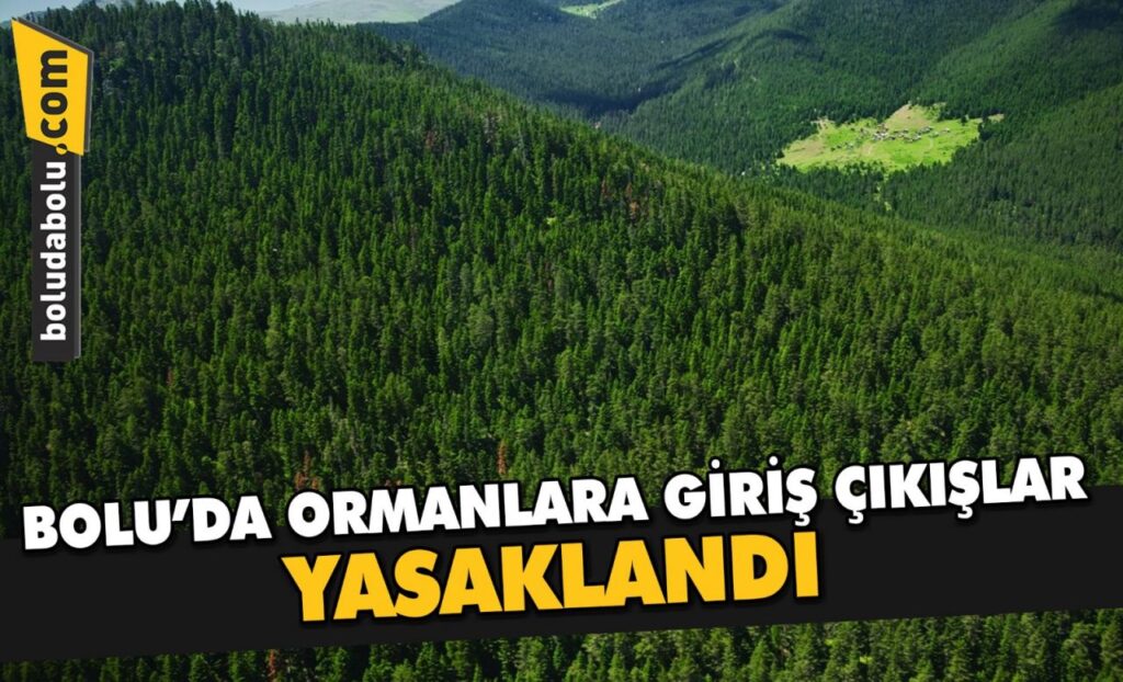 Ormanlara giriş çıkışlar yasaklandı Ormanlara giriş çıkışlar yasaklandı