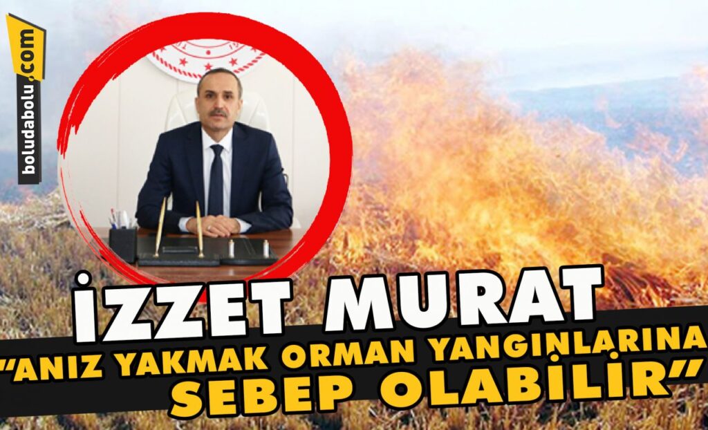 Anız yakmak orman yangınlarına sebep olabilir Anız yakmak orman yangınlarına sebep olabilir