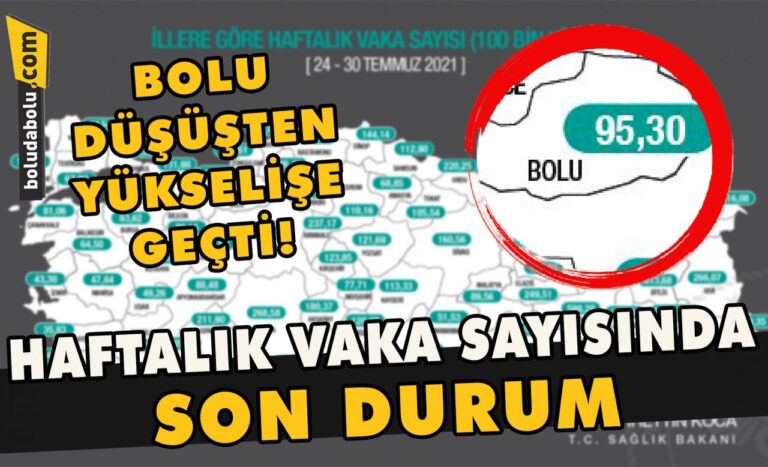 Bolu düşüşten yükselişe geçti