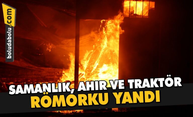 Bolu’da çıkan yangında samanlık, ahır ve traktör römorku yandı