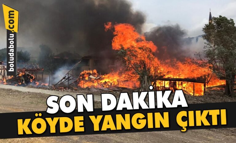 KORKUTAN YANGIN