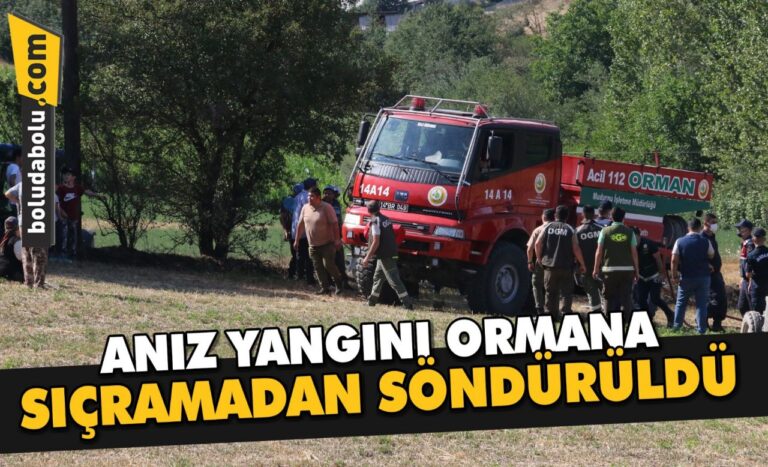 Bolu’da anız yangını ormana sıçramadan söndürüldü