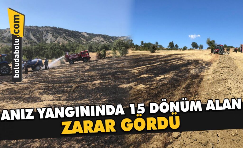 Bolu’da anız yangınında 15 dönüm alan zarar gördü Bolu’da anız yangınında 15 dönüm alan zarar gördü