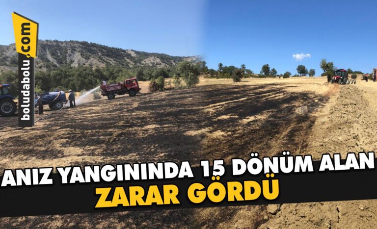 Bolu’da anız yangınında 15 dönüm alan zarar gördü