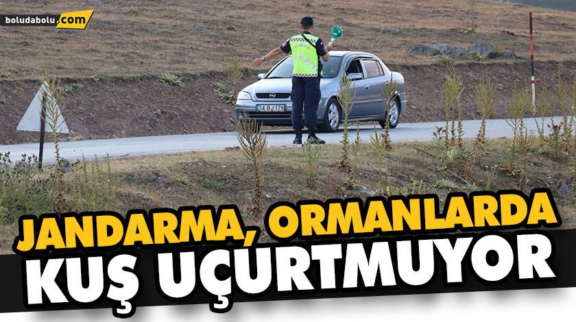 BOLU’DA YANGIN RİSKİ NEDENİYLE GİRİŞE YASAKLANAN ORMANLARDA JANDARMA KUŞ UÇURTMUYOR BOLU’DA YANGIN RİSKİ NEDENİYLE GİRİŞE YASAKLANAN ORMANLARDA JANDARMA KUŞ UÇURTMUYOR
