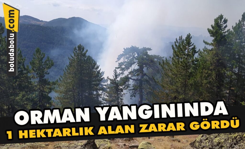 Bolu’da çıkan orman yangınında 1 hektarlık alan zarar gördü