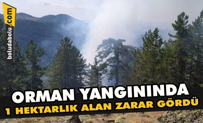 Bolu’da çıkan orman yangınında 1 hektarlık alan zarar gördü