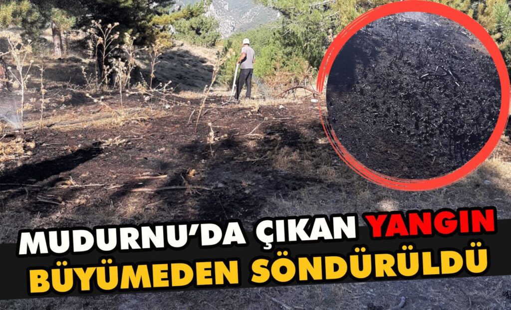 Mudurnu’da çıkan yangın kısa sürede söndürüldü Mudurnu’da çıkan yangın kısa sürede söndürüldü