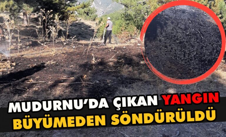 Mudurnu’da çıkan yangın kısa sürede söndürüldü