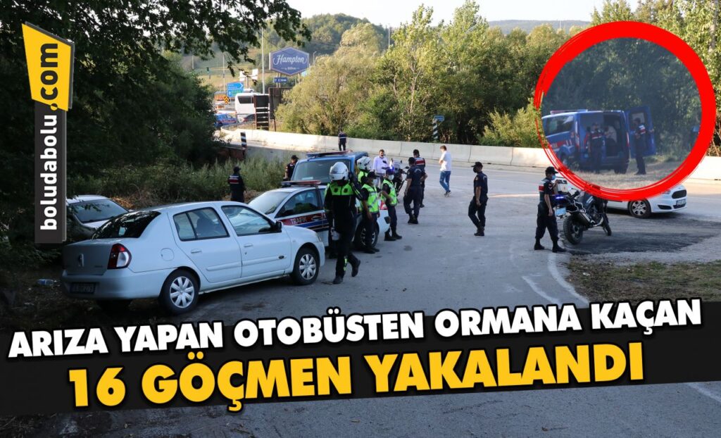 Bolu’da yolculuk ettikleri otobüsün arıza yapması sonrası ormana kaçan16 yabancı uyruklu yakalandı