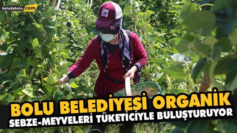 BOLU BELEDİYESİ ORGANİK SEBZE-MEYVELERİ TÜKETİCİYLE BULUŞTURUYOR