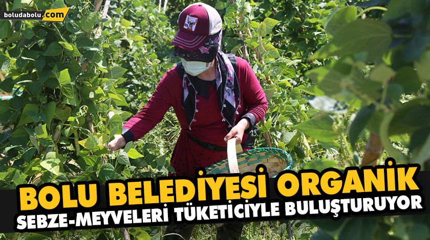 BOLU BELEDİYESİ ORGANİK SEBZE-MEYVELERİ TÜKETİCİYLE BULUŞTURUYOR