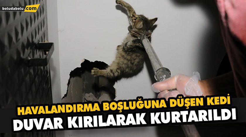 HAVALANDIRMA BOŞLUĞUNA DÜŞEN KEDİ DUVAR KIRILARAK KURTARILDI HAVALANDIRMA BOŞLUĞUNA DÜŞEN KEDİ DUVAR KIRILARAK KURTARILDI