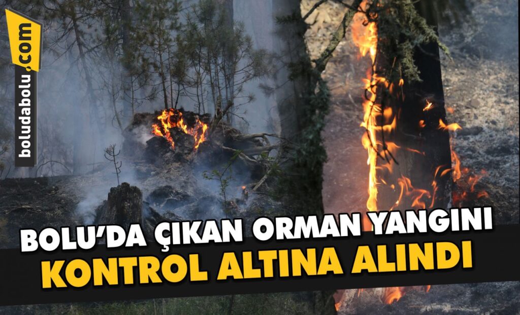Bolu’da çıkan orman yangını kontrol altına alındı Bolu’da çıkan orman yangını kontrol altına alındı