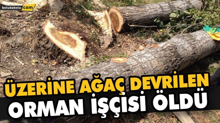 ÜZERİNE AĞAÇ DEVRİLEN ORMAN İŞÇİSİ ÖLDÜ