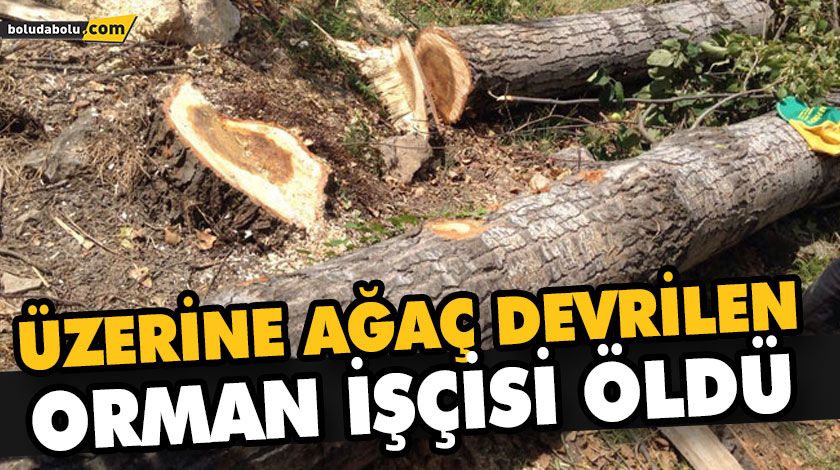 ÜZERİNE AĞAÇ DEVRİLEN ORMAN İŞÇİSİ ÖLDÜ ÜZERİNE AĞAÇ DEVRİLEN ORMAN İŞÇİSİ ÖLDÜ