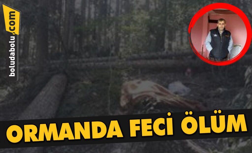 ORMANDA FECİ ÖLÜM ORMANDA FECİ ÖLÜM