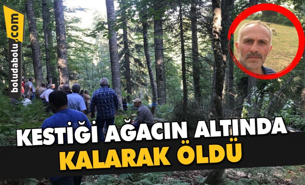 Kestiği ağacın altında kalan Gölormanı Köyü Orman Kooperatifi Başkan Yardımcısı Ay öldü