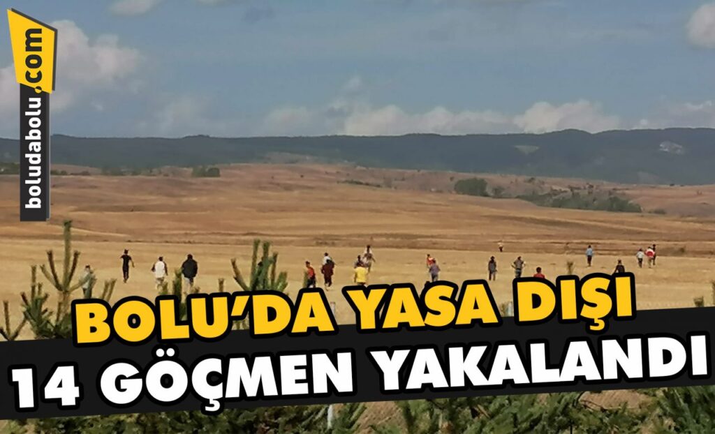 Bolu’da 14 düzensiz göçmen yakalandı