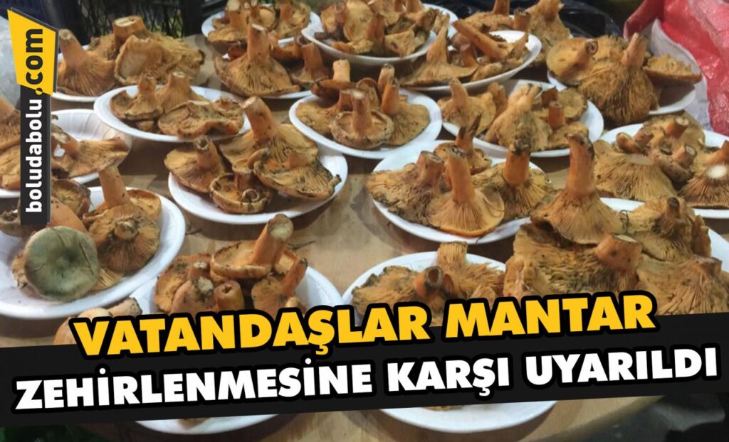 Bolu’da vatandaşlar mantar zehirlenmesine karşı uyarıldı Bolu’da vatandaşlar mantar zehirlenmesine karşı uyarıldı