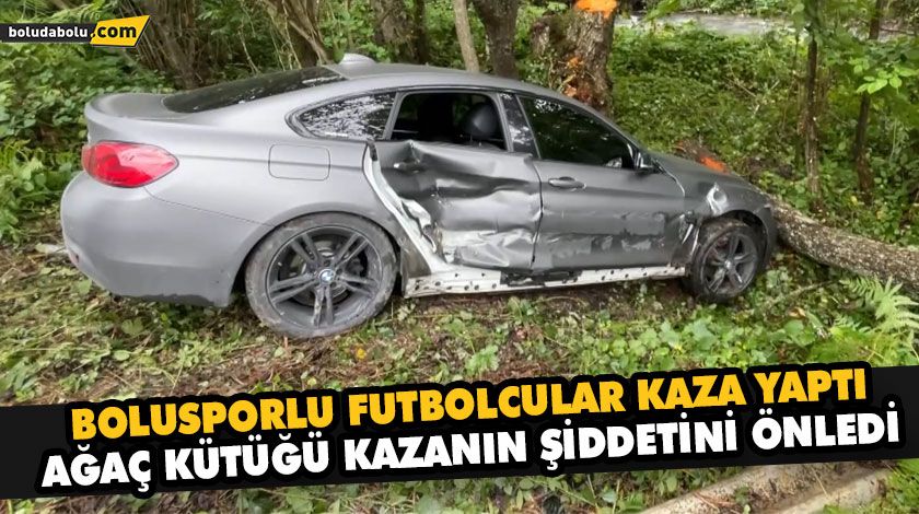 AĞAÇ KÜTÜĞÜ KAZANIN ŞİDDETİNİ ÖNLEDİ