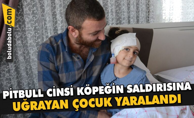 Düzce’de pitbull cinsi köpeğin saldırısına uğrayan çocuk yaralandı