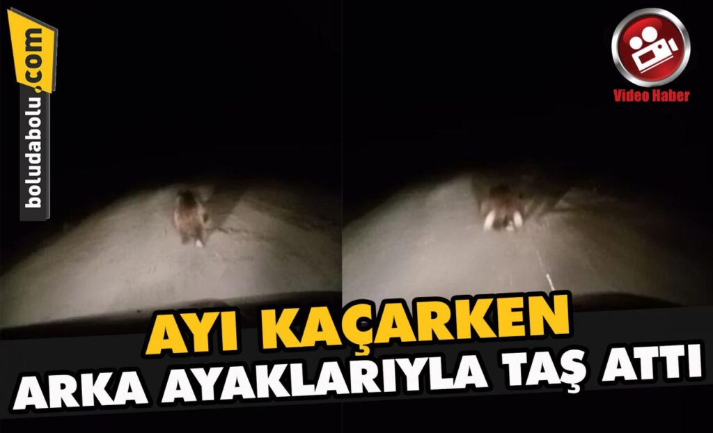 Ayı kaçarken arka ayaklarıyla taş attı Ayı kaçarken arka ayaklarıyla taş attı