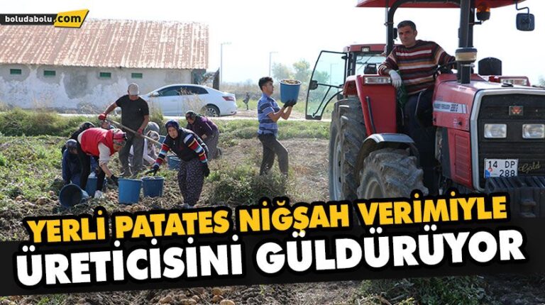 YERLİ PATATES NİĞŞAH VERİMİYLE ÜRETİCİSİNİ GÜLDÜRÜYOR