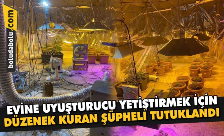Evine uyuşturucu yetiştirmek için düzenek kuran şüpheli tutuklandı