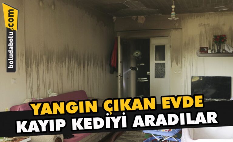 Bolu’da itfaiye erleri yangın çıkan evde uzun süre kayıp kediyi aradı