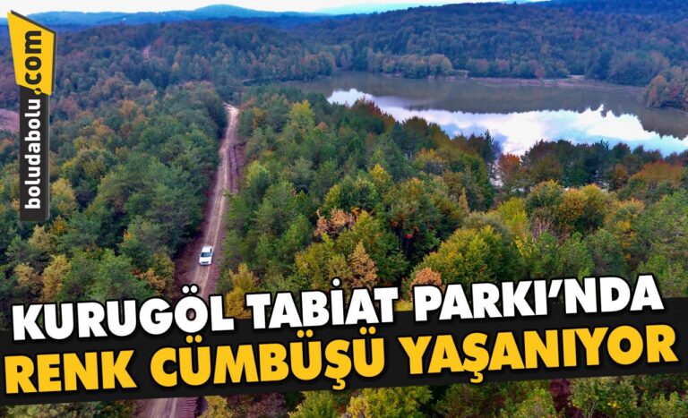 Düzce Kurugöl Tabiat Parkı’nda renk cümbüşü yaşanıyor