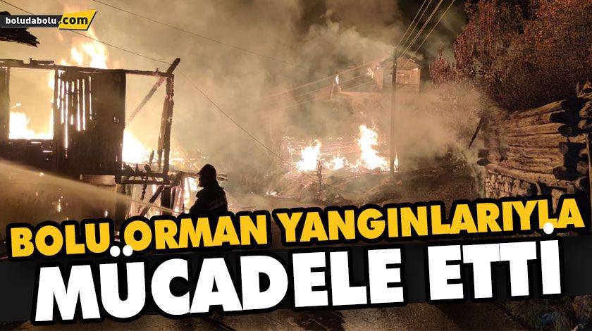 BOLU ORMAN YANGINLARIYLA MÜCADELE ETTİ BOLU ORMAN YANGINLARIYLA MÜCADELE ETTİ