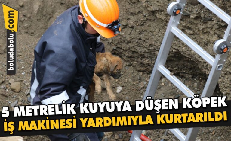Bolu’da 5 metrelik kuyuya düşen köpek iş makinesi yardımıyla kurtarıldı