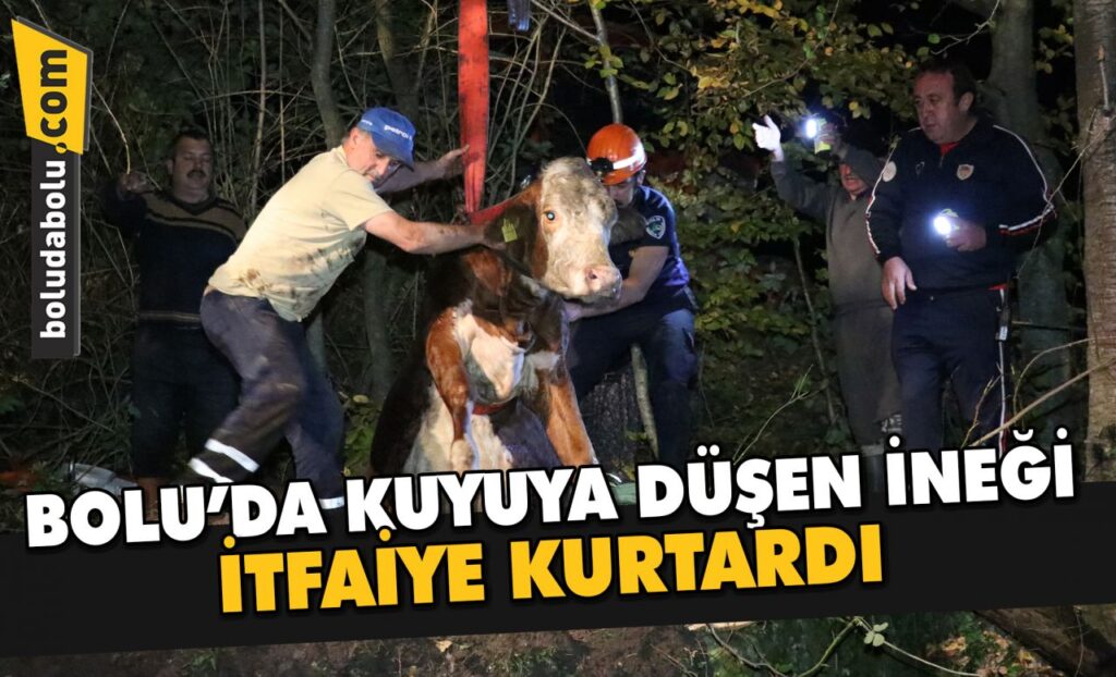 Bolu’da kuyuya düşen ineği itfaiye çıkardı Bolu’da kuyuya düşen ineği itfaiye çıkardı