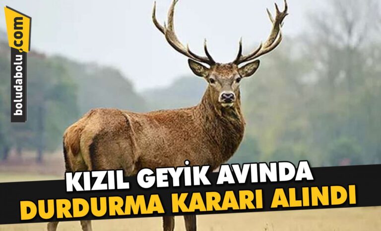 KIZIL GEYİK AVINDA DURDURMA KARARI ALINDI