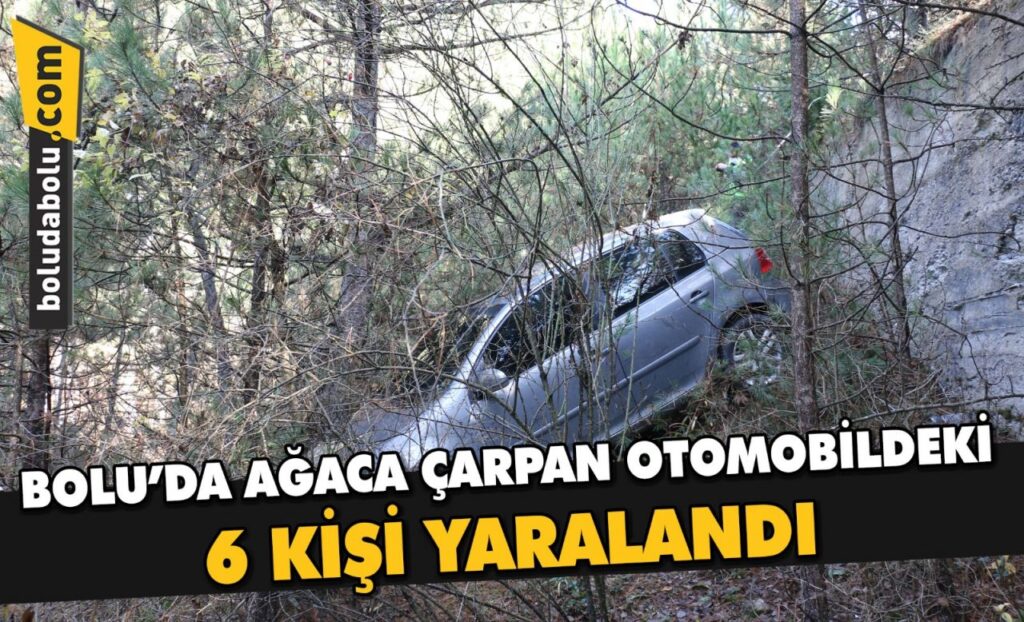 Bolu’da ağaca çarpan otomobildeki 6 kişi yaralandı Bolu’da ağaca çarpan otomobildeki 6 kişi yaralandı