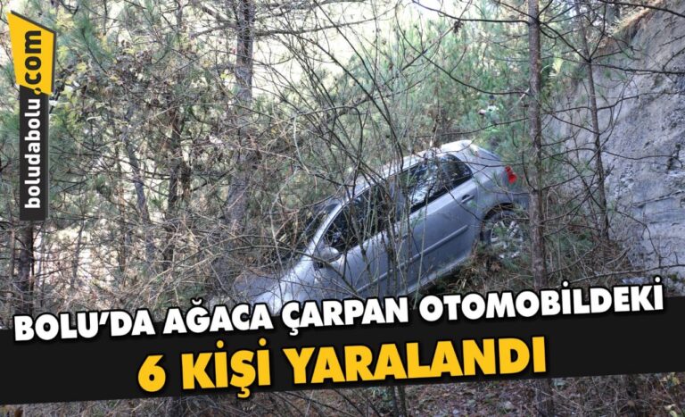 Bolu’da ağaca çarpan otomobildeki 6 kişi yaralandı