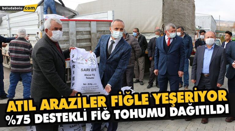 ATIL ARAZİLER FİĞLE YEŞERİYOR