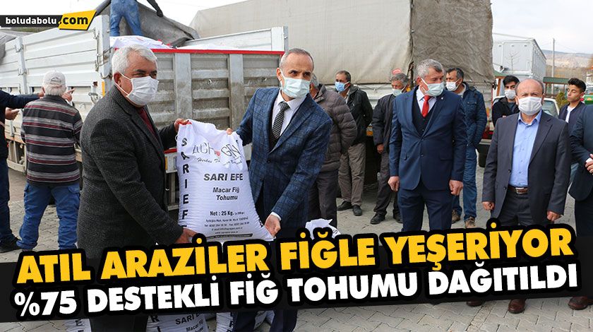 ATIL ARAZİLER FİĞLE YEŞERİYOR ATIL ARAZİLER FİĞLE YEŞERİYOR