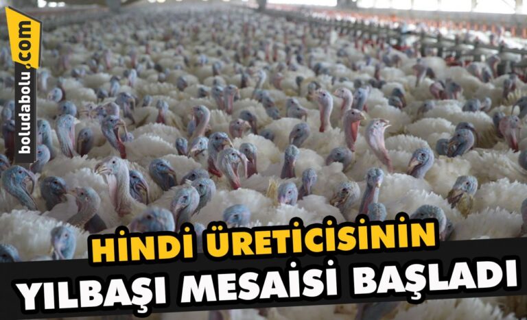 Hindi üreticisinin yılbaşı mesaisi başladı