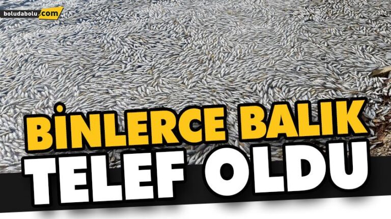 SÜNNET GÖLÜ’NDE BALIK ÖLÜMLERİNE İNCELEME BAŞLATILDI
