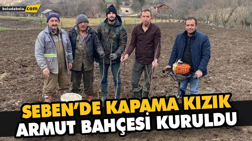SEBEN’DE KAPAMA KIZIK ARMUT BAHÇESİ KURULDU SEBEN’DE KAPAMA KIZIK ARMUT BAHÇESİ KURULDU