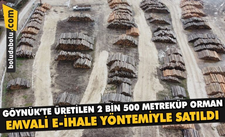 Göynük’te üretilen 2 bin 500 metreküp orman emvali e-ihale yöntemiyle satıldı