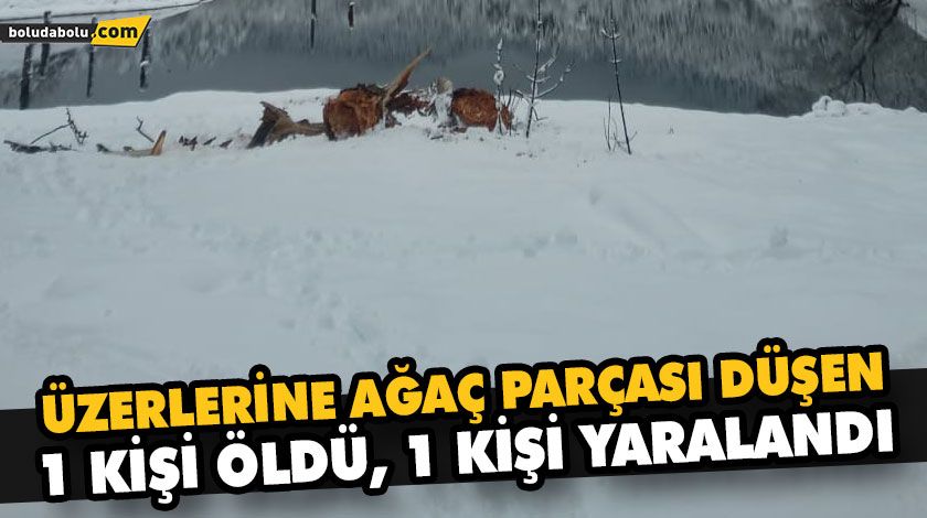 ÜZERLERİNE AĞAÇ PARÇASI DÜŞEN 1 KİŞİ ÖLDÜ, 1 KİŞİ YARALANDI ÜZERLERİNE AĞAÇ PARÇASI DÜŞEN 1 KİŞİ ÖLDÜ, 1 KİŞİ YARALANDI