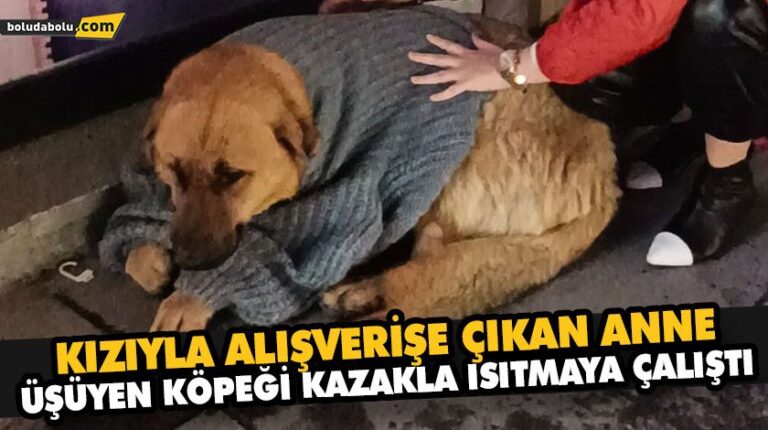 KIZIYLA ALIŞVERİŞE ÇIKAN ANNE, ÜŞÜYEN KÖPEĞİ KAZAKLA ISITMAYA ÇALIŞTI