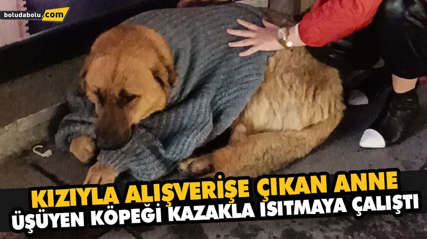 KIZIYLA ALIŞVERİŞE ÇIKAN ANNE, ÜŞÜYEN KÖPEĞİ KAZAKLA ISITMAYA ÇALIŞTI KIZIYLA ALIŞVERİŞE ÇIKAN ANNE, ÜŞÜYEN KÖPEĞİ KAZAKLA ISITMAYA ÇALIŞTI