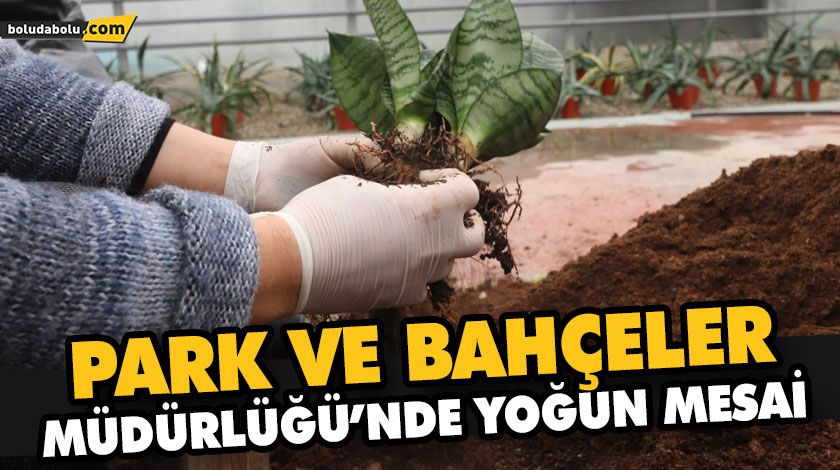 PARK VE BAHÇELER MÜDÜRLÜĞÜ’NDE YOĞUN MESAİ PARK VE BAHÇELER MÜDÜRLÜĞÜ’NDE YOĞUN MESAİ
