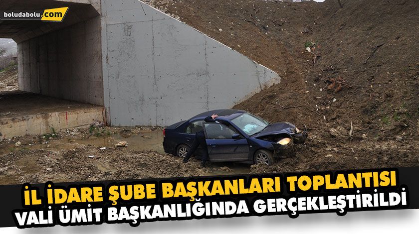 ŞARAMPOLE DEVRİLEN OTOMOBİLİN SÜRÜCÜSÜ YARALANDI