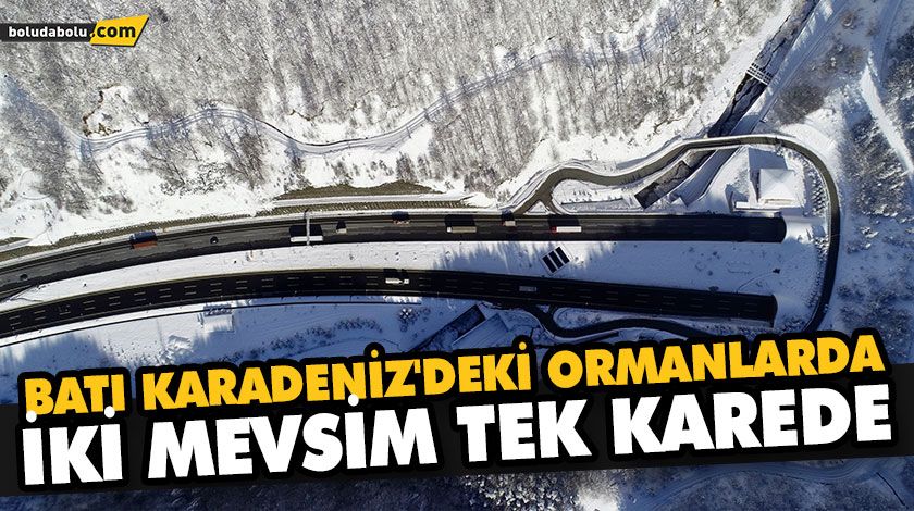 BATI KARADENİZ’DEKİ ORMANLARDA İKİ MEVSİM TEK KAREDE BATI KARADENİZ’DEKİ ORMANLARDA İKİ MEVSİM TEK KAREDE